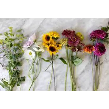 Cut Flower